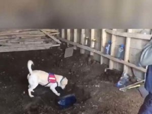 Yüksekova’da toprağa gömülü eroin ve fişek ele geçirildi