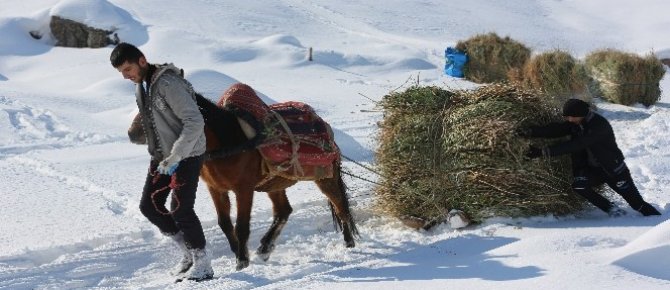 Çiftçilerin kış çilesi