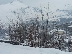 Hakkari’de kar yağışı hayatı olumsuz etkiledi