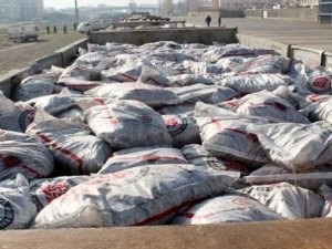 Hakkari’de Kömür Yardımına Başlandı