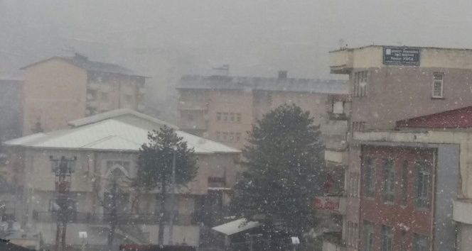Hakkari’de kar ve sis etkili olmaya başladı