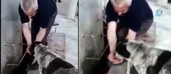 Abdest alırken elleriyle köpeğe su içirdi