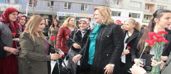 Hakkari’de 8 Mart Dünya Kadınlar Günü etkinliği