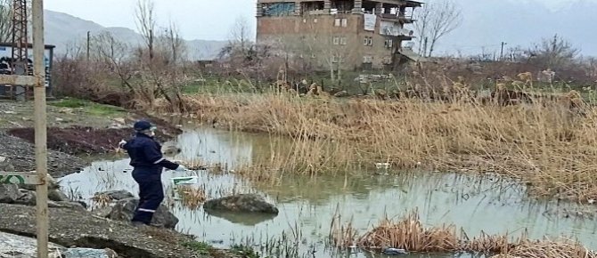 Huzurlu bir yaz için haşere ile mücadele