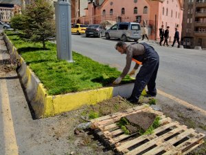 Hakkari'de Orta Refüjler çimleniyor
