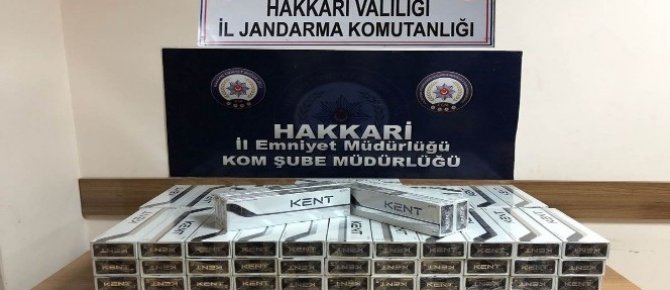 Hakkari’de kaçakçılık operasyonu