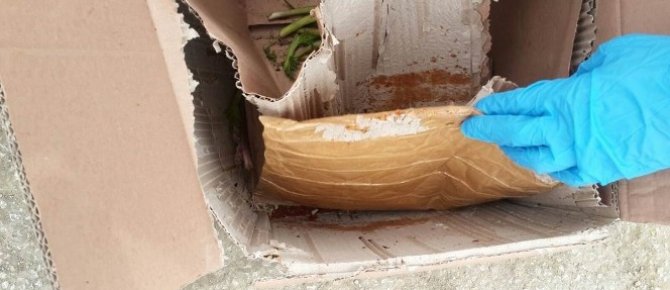 Yüksekova’da uyuşturucu operasyonu