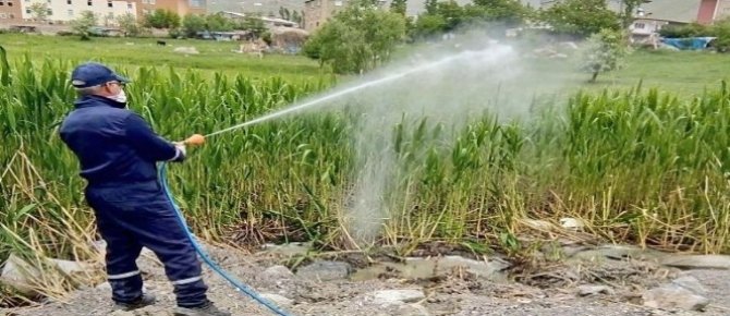 Hakkari’de haşerelerle mücadele çalışması