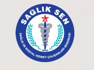 SAĞLIK SEN Hakkari  Şubesinden Hemşireler Gününde Açıklama