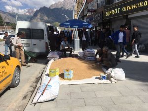 Hakkari'de Fitrelik Buğday Satışları Başladı