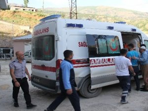 Minibüs şarampole yuvarlandı: 12 yaralı