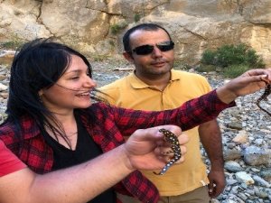 Hakkari’de biyolojik çeşitlilik envanteri çıkartılıyor