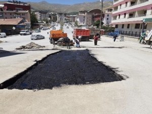 Hakkari Belediyesinden hummalı çalışma