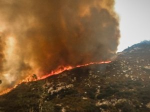 Kaliforniya’da OHAL ilan edildi