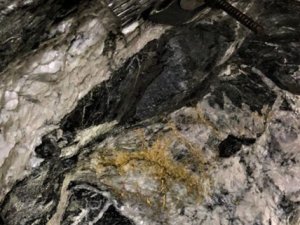 Avustralya’da altınla kaplı kaya bulundu