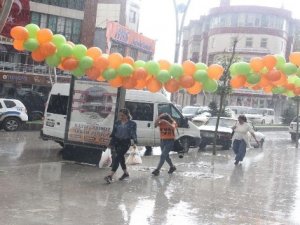 Hakkari'deki sağanak yağış