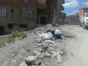 Toplanmayan Çöpler Mahalleliyi  İsyan Ettirdi