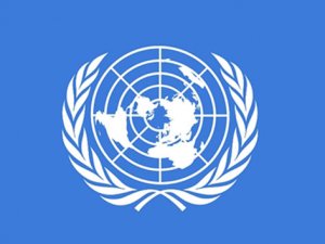 BM, Irak için toplanacak