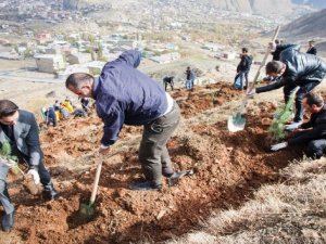 Hakkari Üniversitesi kampüsünde ağaçlandırma çalışması