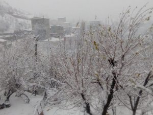 Çukurca'da kar yağışı
