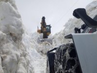 Yüksekova'da mayıs ayında karla mücadele